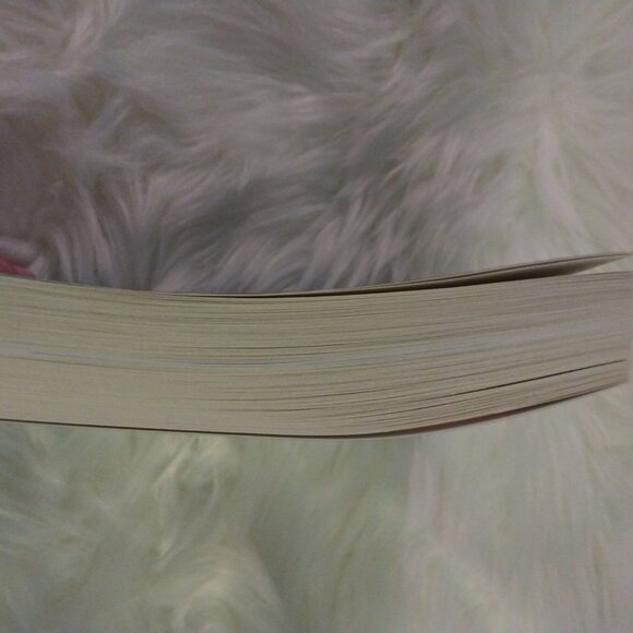 The Auschwitz Photographer book by Luca Crippa & Maurizio Onnis New - Picture 4 of 4